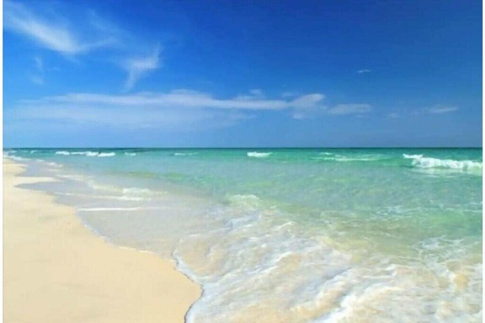 Beachfront Getaway In Siesta Key Exteriör bild